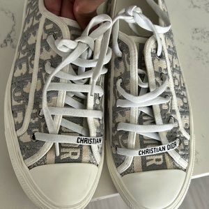 Oblique embroid Grey stone walk n Dior sneakers